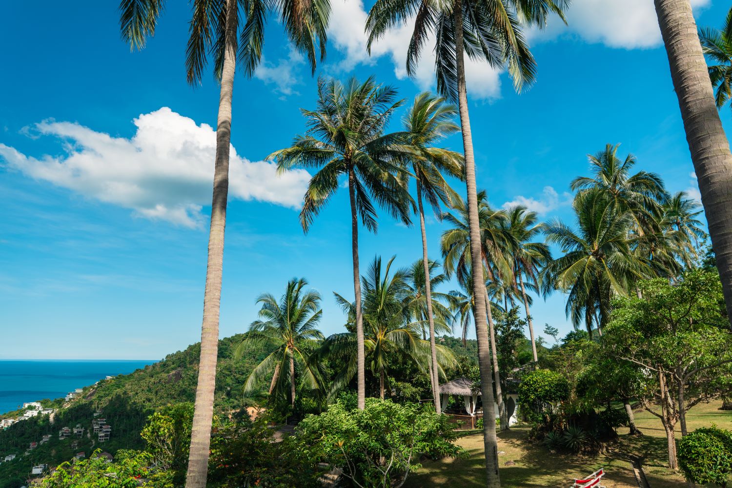 samui real estate
